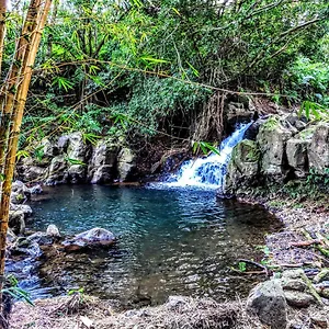 Guest house Hamakua